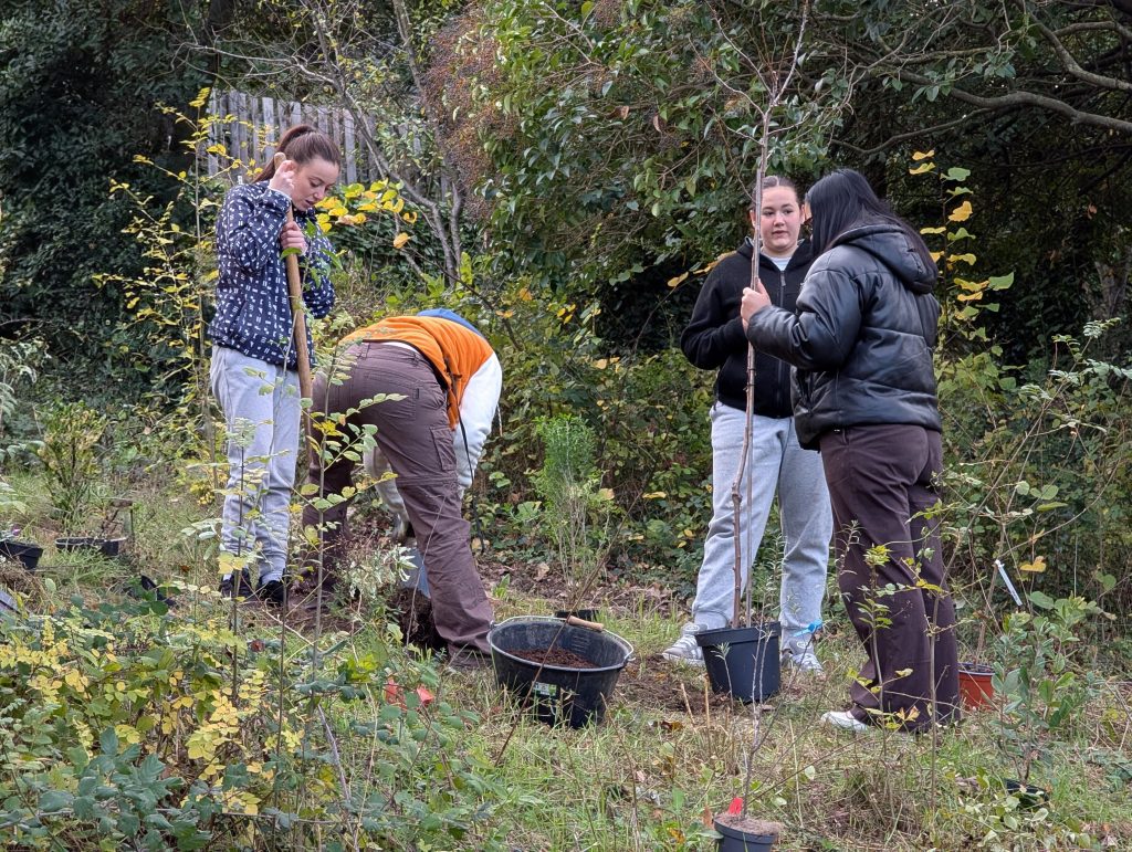 Participants en extérieur lors d’un atelier ancrage, en train de préparer une plantation d’arbres avec pelles et seaux