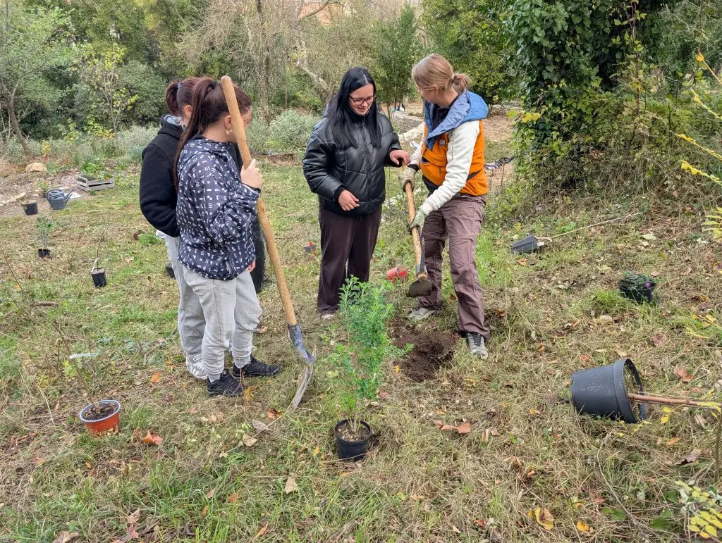 Atelier ancrage – plantation
